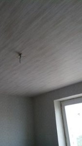 двушка потолок мал ком.JPG