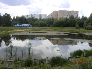 CIMG5350.JPG