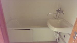 IMAG0420.jpg