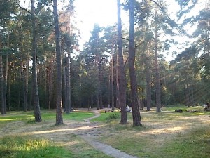 2014-08-06 19.17.12.jpg