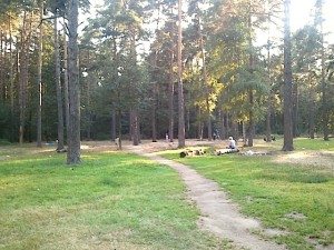 2014-08-06 19.17.35.jpg