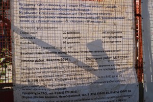 IMG_9853.JPG