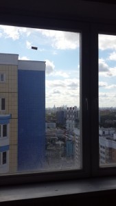 20140826_114209.jpg