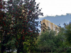0446б.jpg