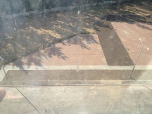 IMG_2348.JPG