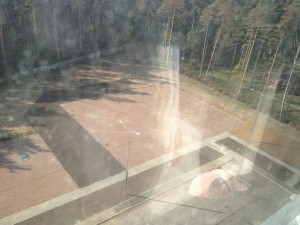 IMG_2349.JPG
