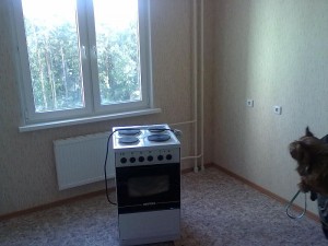 18082014704.jpg