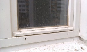 IMAG0386.jpg