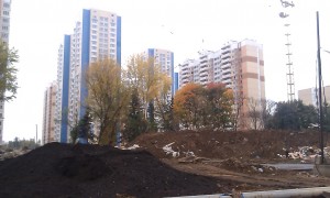 IMAG0369.jpg
