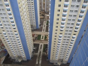 6647563.jpg