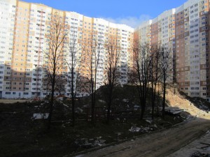 IMG_1314.JPG