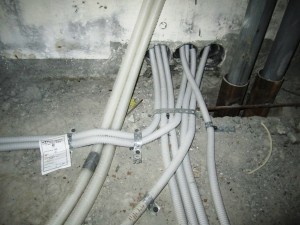 IMG_1470.JPG