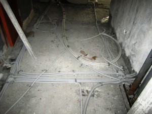 IMG_1449.JPG