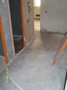 SL278102.JPG