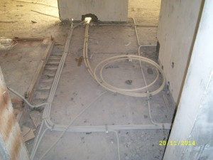 SL278108.JPG