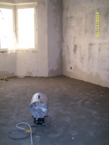 SL278167.JPG