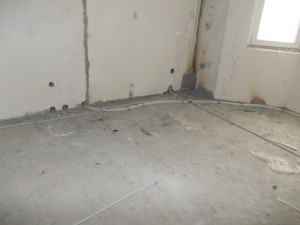 DSCN3514.jpg
