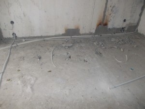 DSCN3516.jpg