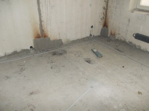 DSCN3524.jpg