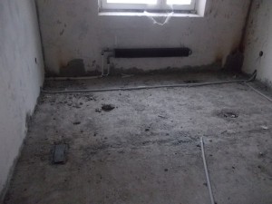 DSCN3530.jpg