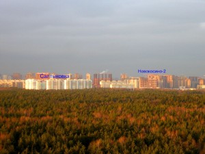 Салтыковка19.12.2014.jpg
