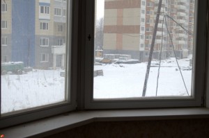 Гостинная_вид_окно.jpg