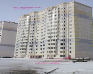фомушина д10 коп.jpg