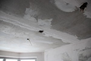 Изменение размера IMG_9880.JPG