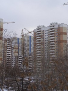 03.jpg