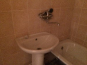 IMG_0100.JPG.jpeg