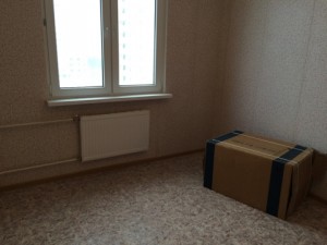 IMG_0142.JPG.jpeg