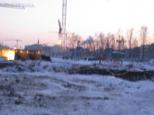 IMG_2036.jpg