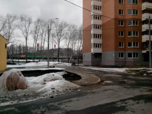 IMG_20150307_125917.jpg