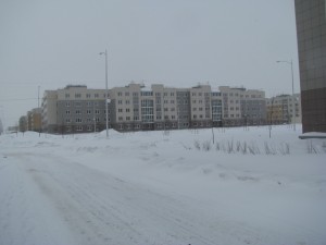 IMG_2095.jpg