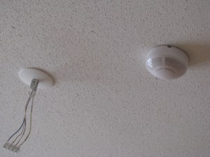IMG_2049.jpg