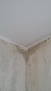 20150314_153421.jpg