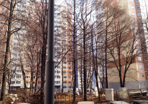 11 - копия.JPG