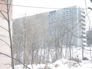 IMGP4217.jpg
