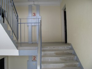 IMG_2085.jpg