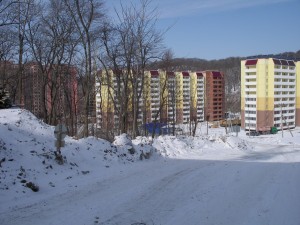 IMGP4218.jpg
