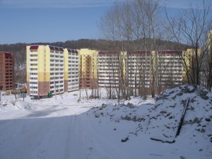 IMGP4219.jpg