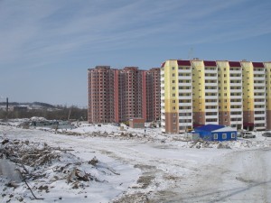IMGP4220.jpg