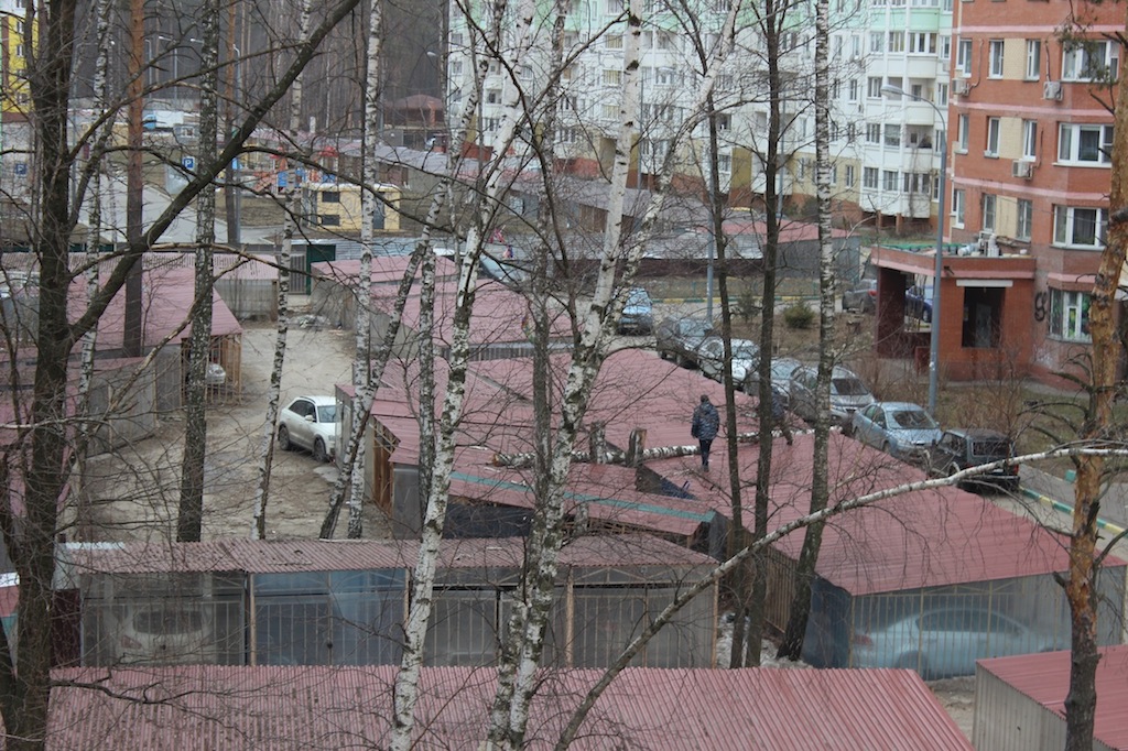 IMG_1080.JPG