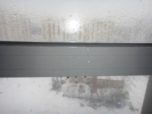 DSC01338.JPG