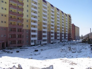 IMGP4234.jpg