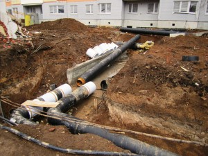 IMG_1904.JPG