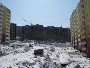 IMGP4235.jpg