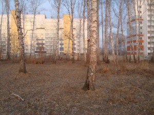 Блюхера 16.04.2015 - 2 [].JPG