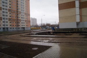 DSC05992.jpg