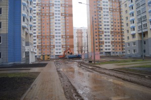 DSC06005.jpg